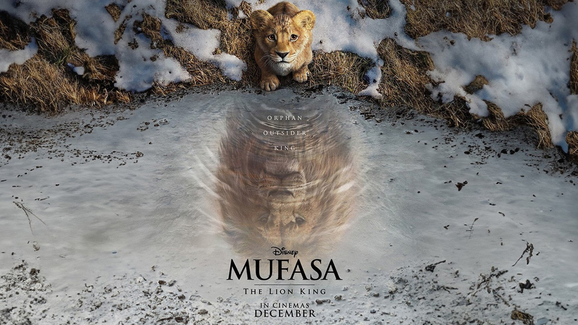 Mufasa_web