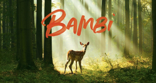 Bambi